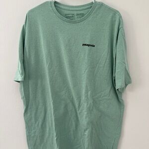 Patagonia Men's Mint Green Short Sleeve Tee